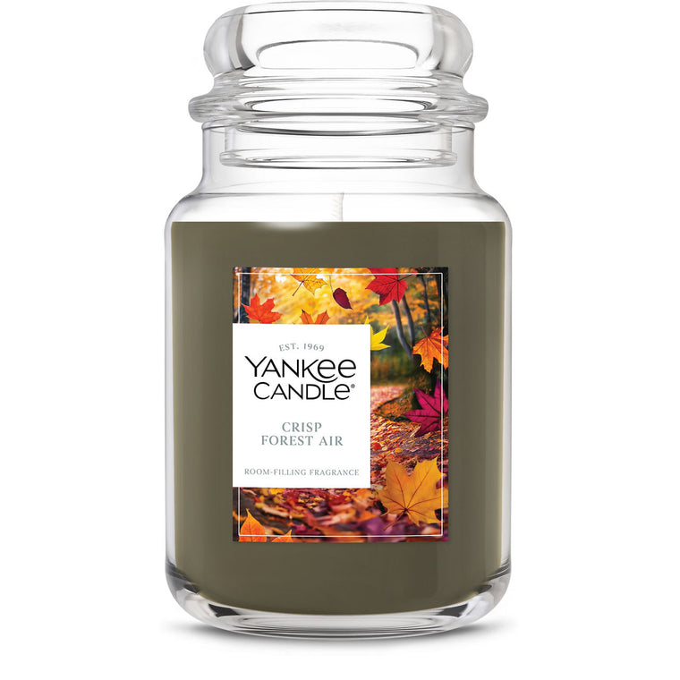 Crisp Forest Air Original Large Jar Candle R7